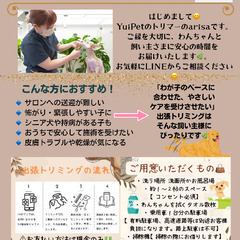 🐶【限定頭数】出張トリミング 半額キャンペーン実施中✨《結…