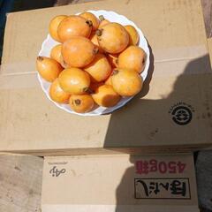 無農薬ビワ　人気　1kg 1.000円で販売します)