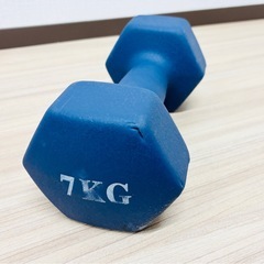 7kg ダンベル ブルー 筋トレ