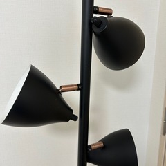 照明の画像