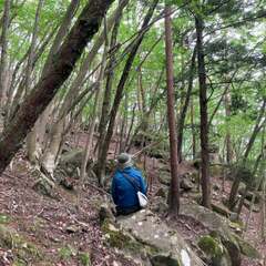 【売却済】山林物件268　山梨県甲府市下帯那町