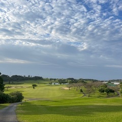 みんなでゴルフ⛳️