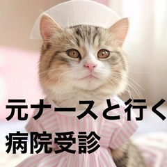 通院、入院の付き添い、お見舞い代行、便利屋ハナさん
