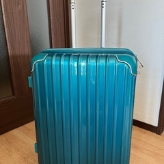 キャリーバッグ