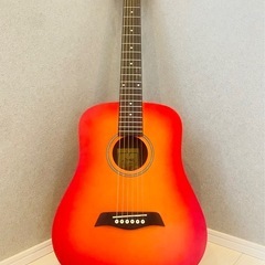 【楽ギフ_のし宛書】 アコースティックギターPro Martin 白いギター A0517 CF-150 ギター