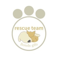 トイプードルのシニアの子達がきます。無料譲渡。
