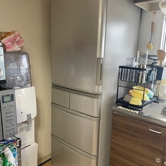 シャープ両開き冷蔵庫（決まりました）