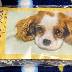 ジグソーパズル 108ピース 動物 犬 わんちゃん 可愛いの画像