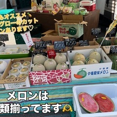 【在庫5玉】茨城県産🍈青肉アンデスメロン¥480〜🉐✨ の画像