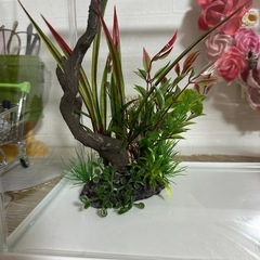 GEX 金魚元気 ぶくぶく 水キレイセット 水槽 Ｍの画像