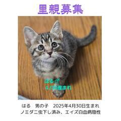 2025.4/30産まれ　男の子