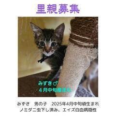2025.4月頃産まれ　男の子