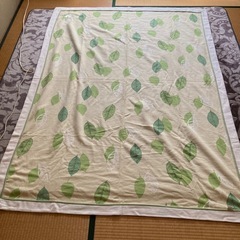 夏用の毛布