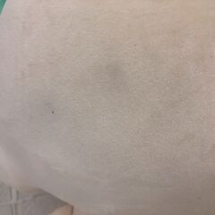 Purirun Plush 23" バンダイ とっても大きなプリルンぬいぐるみの画像