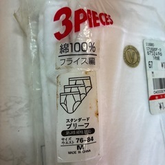 ブリーフの画像