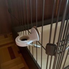 犬ゲージの画像