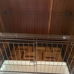 犬ゲージの画像