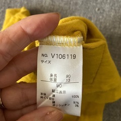 Tシャツ、薄手パーカーの画像