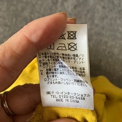 Tシャツ、薄手パーカーの画像