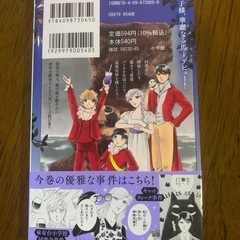 神無月紫子の優雅な暇潰し13巻の画像