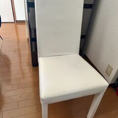 ★無料★　2脚セット　椅子　ダイニングチェア