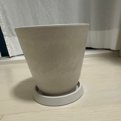 ボタニー バルカボール15型ホワイト・皿付セット
