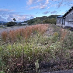 草刈り、伐採、剪定、除草剤散布 太陽光管理、草の管理