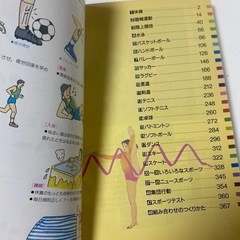 NEW COLOR SPORTS 1996一橋出版　高校体育　教材　ルールブックの画像