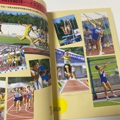 NEW COLOR SPORTS 1996一橋出版　高校体育　教材　ルールブックの画像