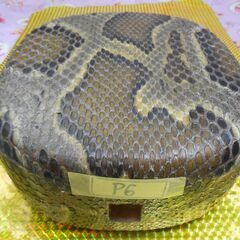 本日限定現品販売9.980円　沖縄三線専用　9個から選択　蛇皮強化(二重張)型チーガの画像