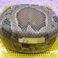 本日限定現品販売9.980円　沖縄三線専用　9個から選択　蛇皮強化(二重張)型チーガの画像