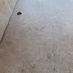 収納ボックス2個セットの画像