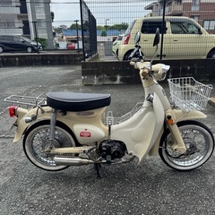 おしゃれなリトルカブ！