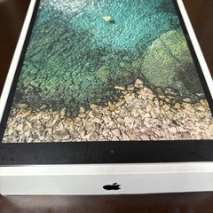 ⭐️iPad pro（10.5インチ）256GB 6/20まで    の画像