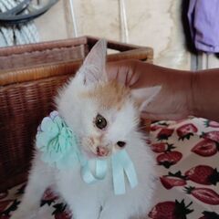 4月7日生と5月１３日生(•ө•)♡