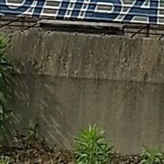 土木用？のＵ字溝 差し上げます・・・の画像