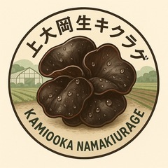 国産無農薬生きくらげ|農家直売