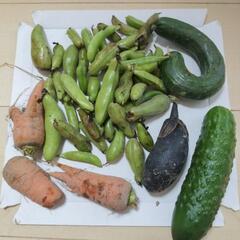 お話中【訳あり】野菜まとめて