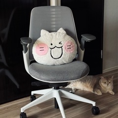 【決まりました】steelcaseのワークチェアをご検討ください