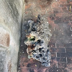 石　岩の画像