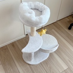 子猫用キャットタワーの画像