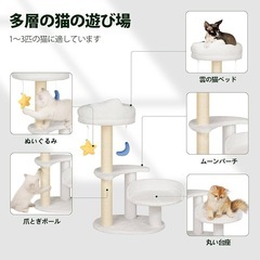 子猫用キャットタワーの画像