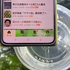 本日採卵したコルレアの卵 おまけ