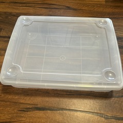美品 ニトリ 衣装ケース 衣装ボックス