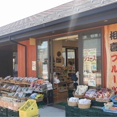 メダカ