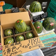 【在庫4玉】完売黄色🍉ひまわりスイカ再入荷しました☆