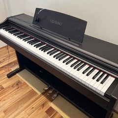 デジタルピアノ　AP-25（価格応相談です。
）の画像