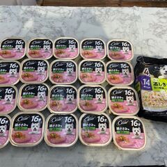 ドッグフードセット シーザー 絹ささみ味 野菜入り100g×10...