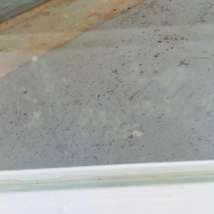 【お話し中です】GEX ジェックス　スリム水槽　60×16.5×26㎝　の画像