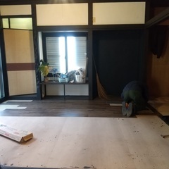 築古物件のDIYリノベ一緒にやって頂ける方大募集です！！